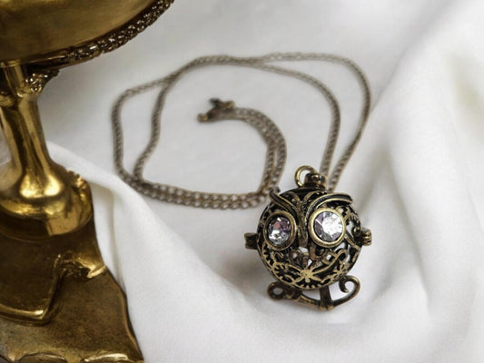 Steampunk Owl antique bronze locket necklace, 18inch curb chain